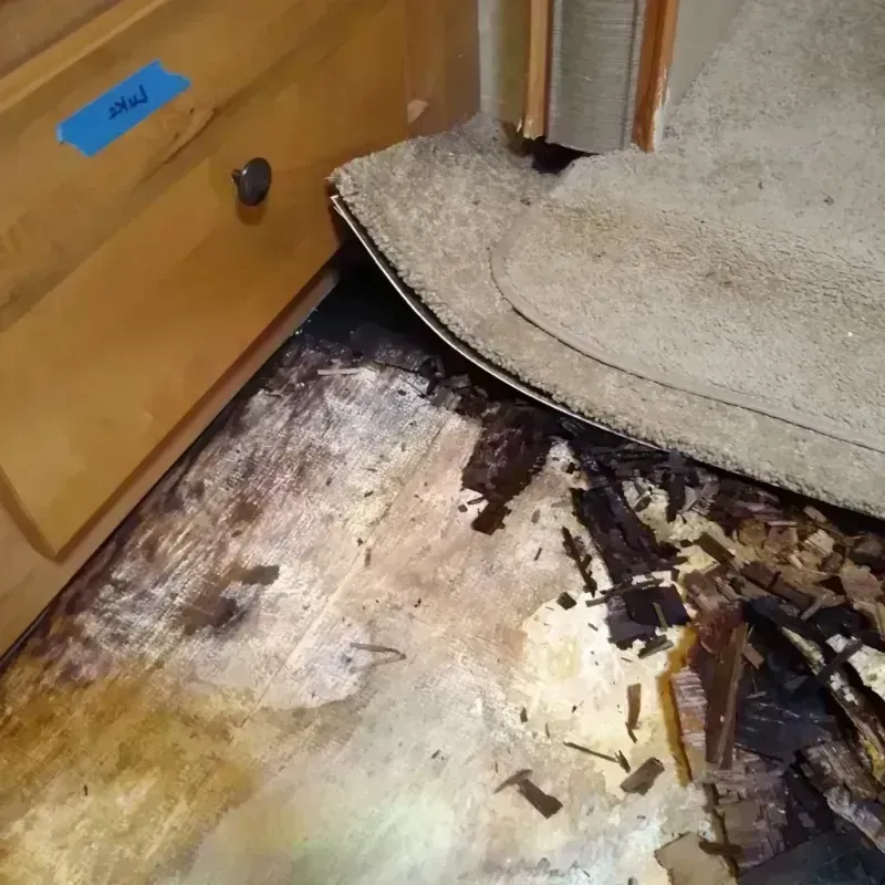 Wood Floor Water Damage in Harrington, DE